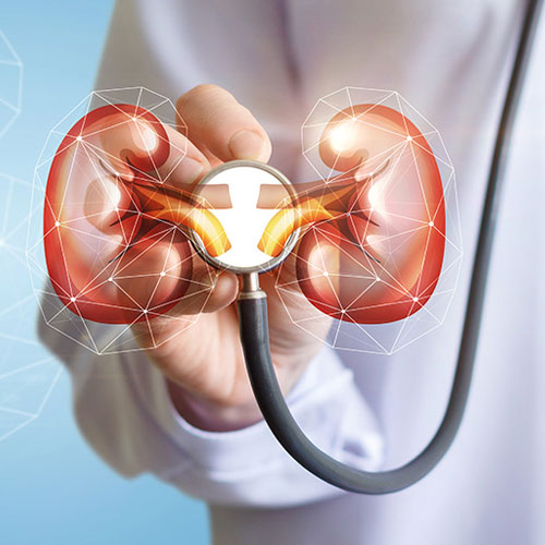 nephrology nephrology